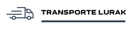 logo 100